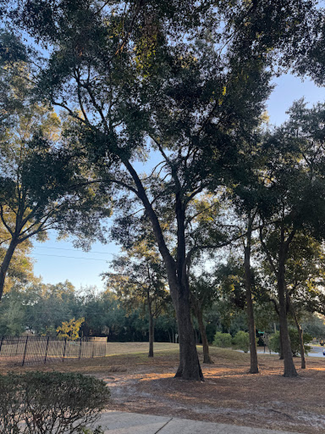 Kevin's Tree Service - Oviedo, FL