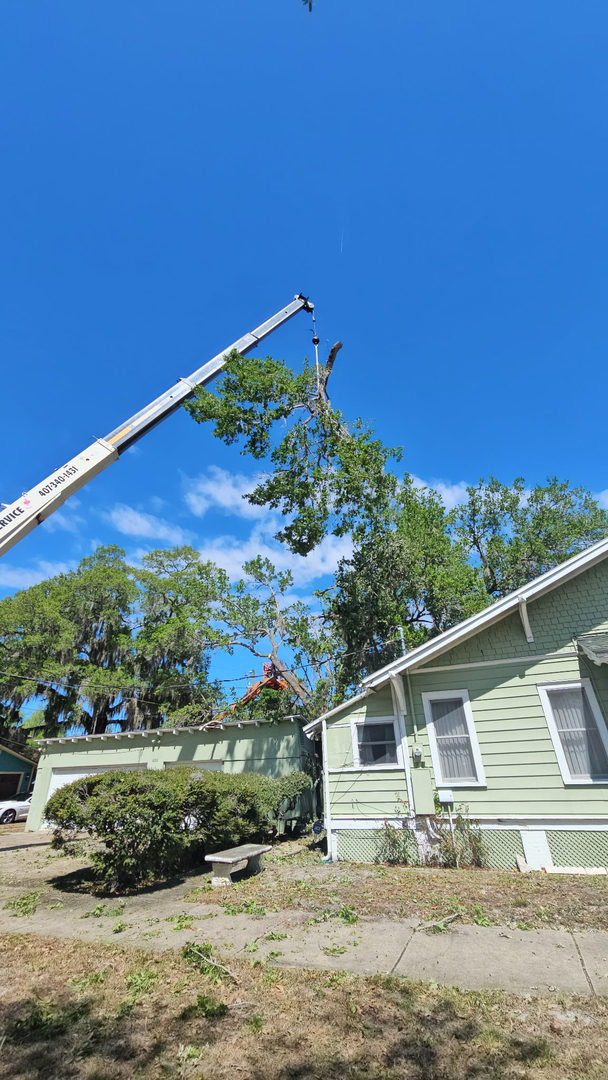 Kevin's Tree Service - Oviedo, FL