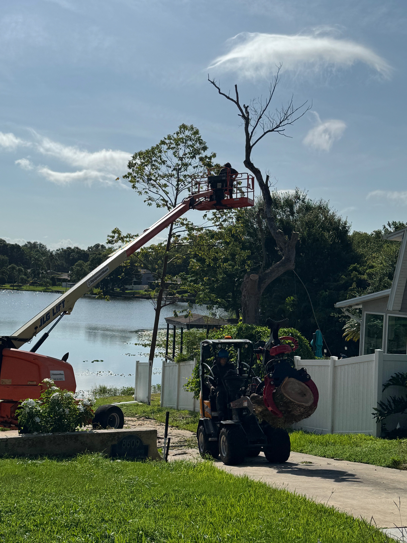 Kevin's Tree Service - Oviedo, FL