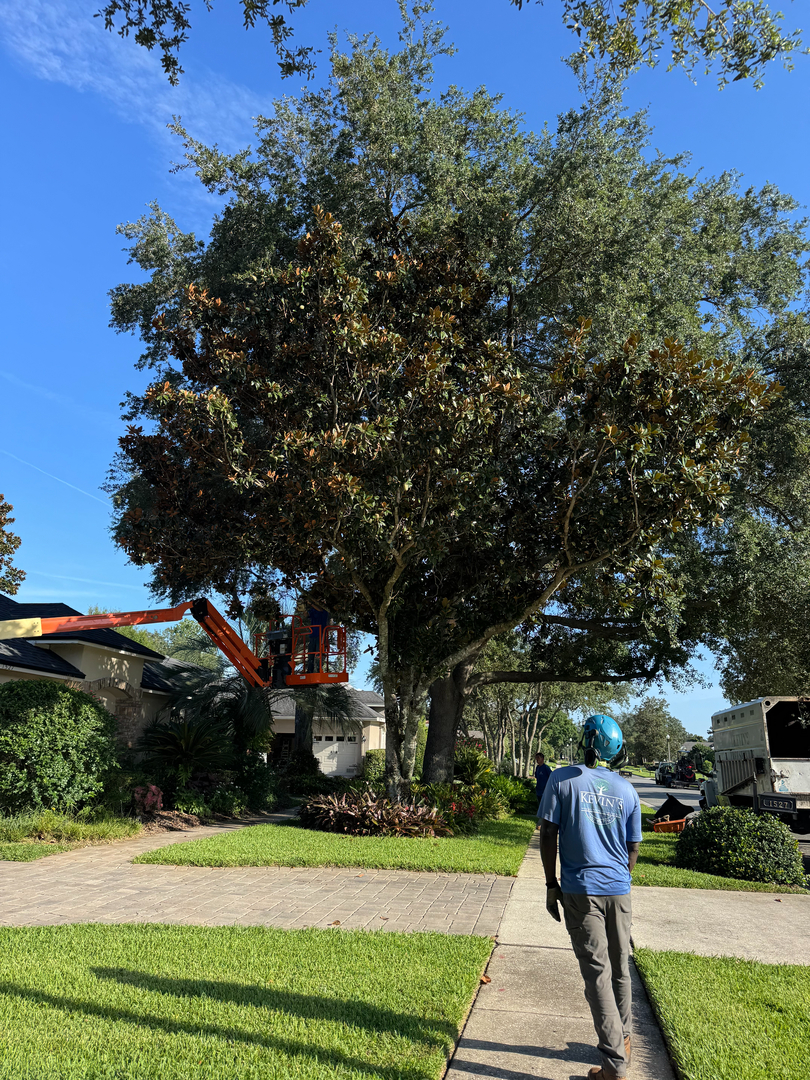 Kevin's Tree Service - Oviedo, FL