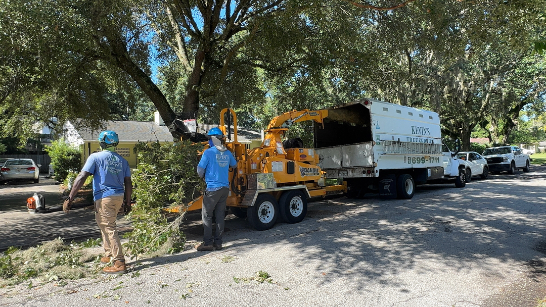 Kevin's Tree Service - Oviedo, FL