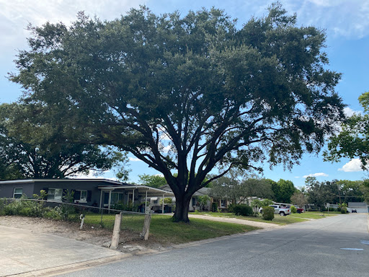 Kevin's Tree Service - Oviedo, FL