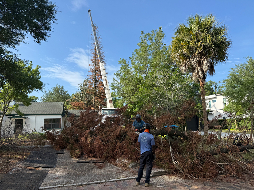 Kevin's Tree Service - Oviedo, FL