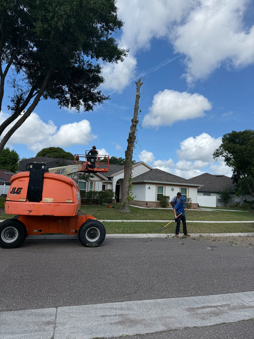 Kevin's Tree Service - Oviedo, FL