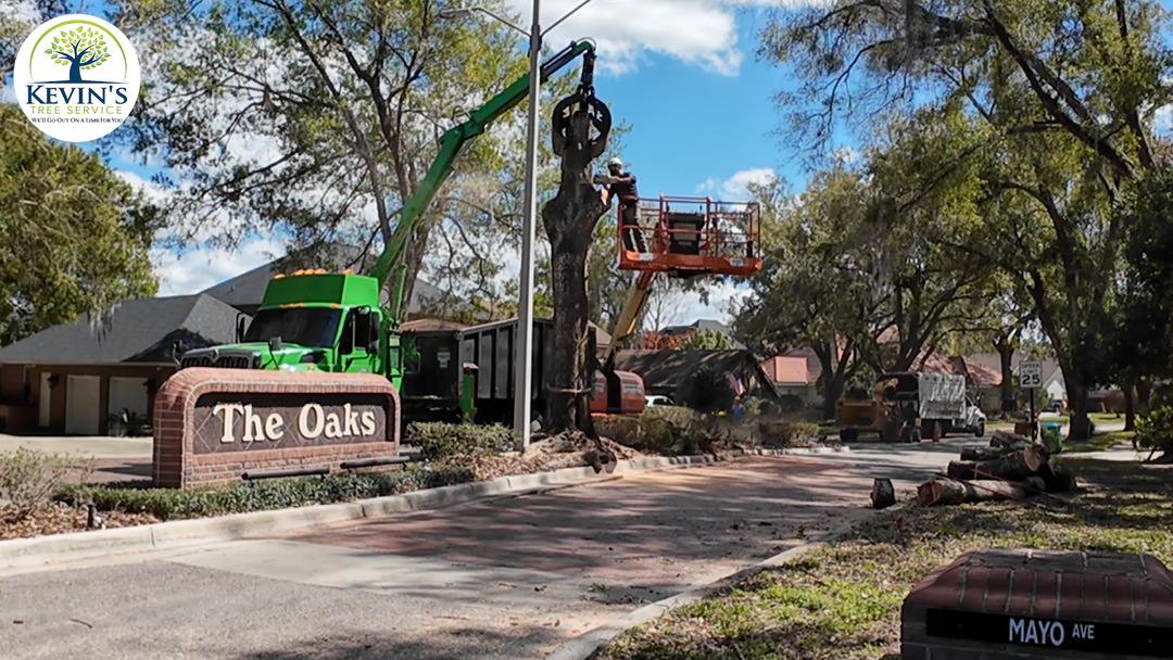 Kevin's Tree Service - Oviedo, FL