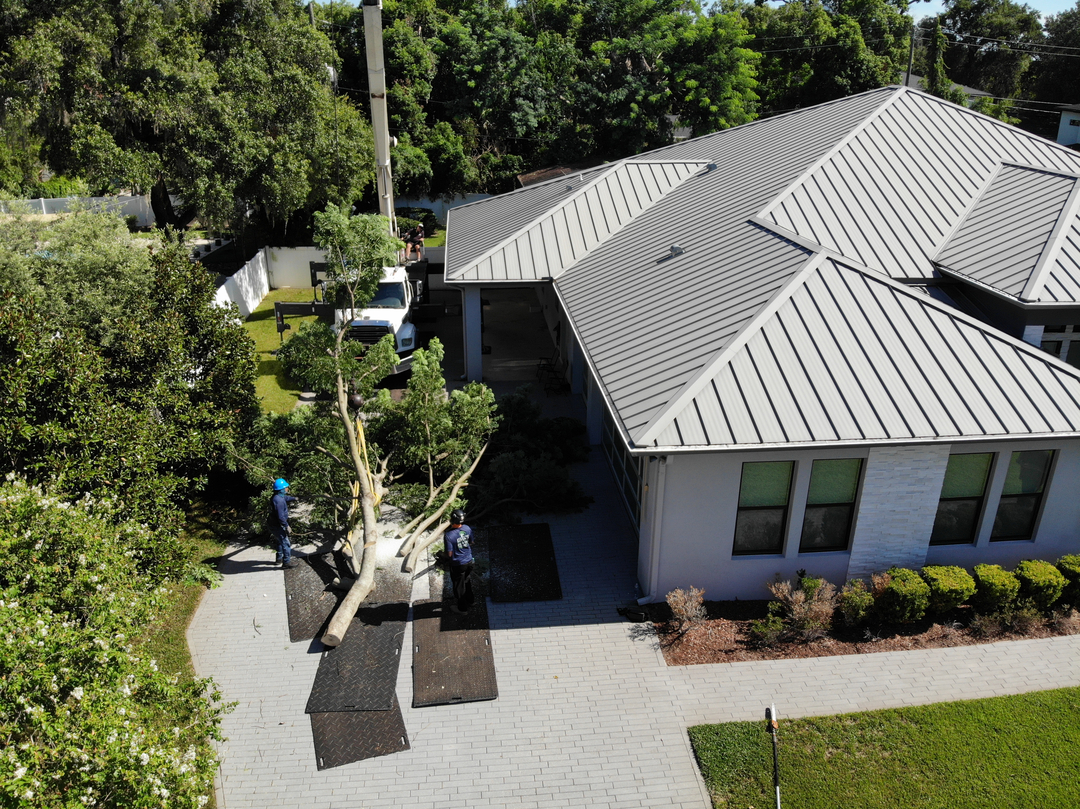 Kevin's Tree Service - Oviedo, FL