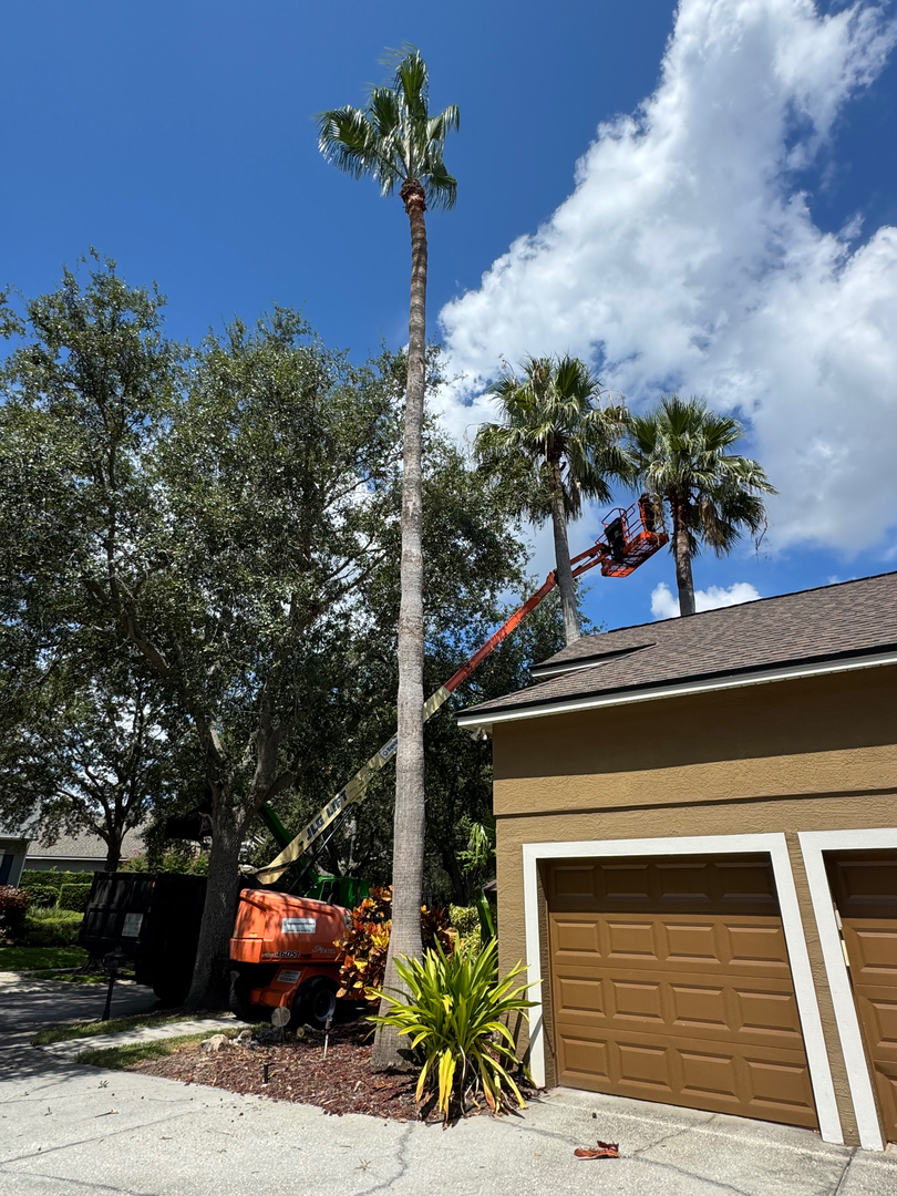 Kevin's Tree Service - Oviedo, FL