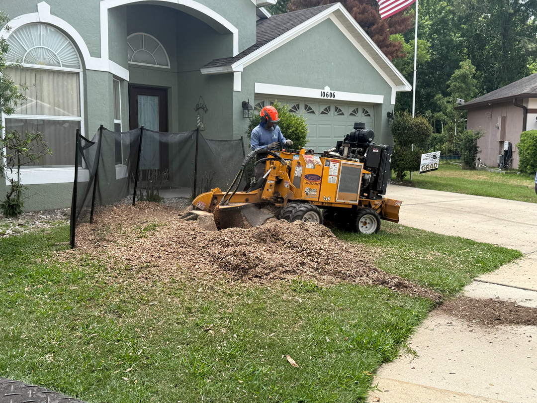 Kevin's Tree Service - Oviedo, FL
