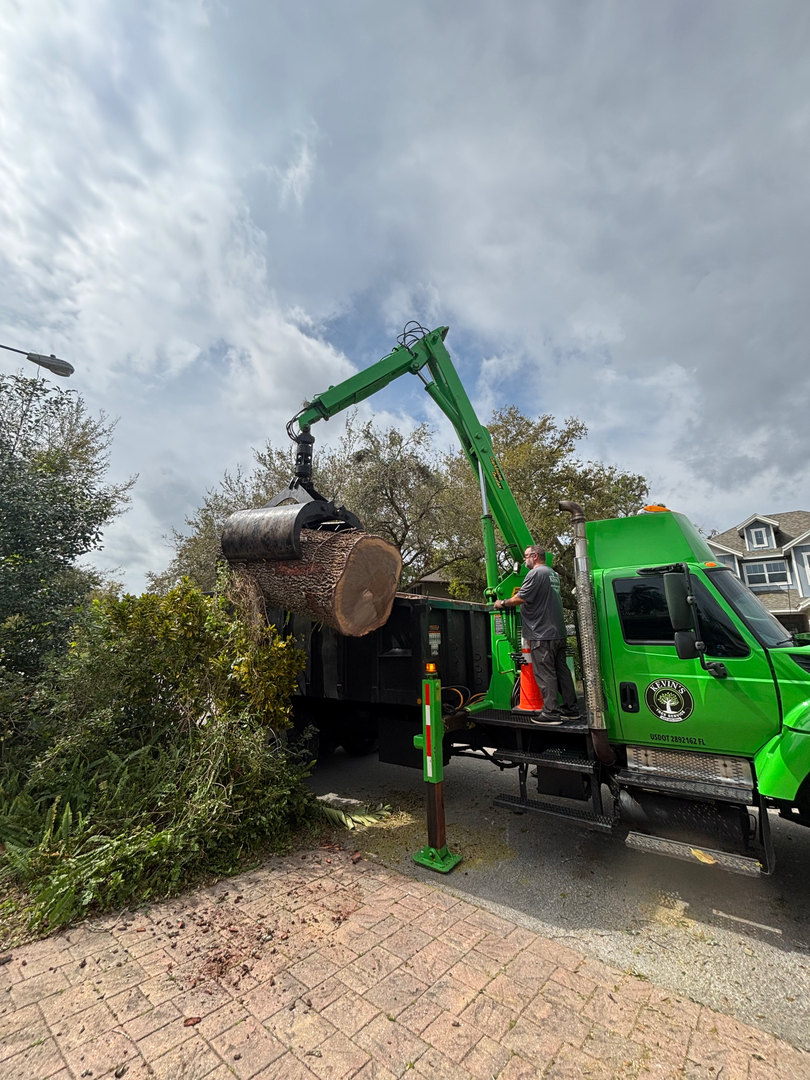Kevin's Tree Service - Oviedo, FL