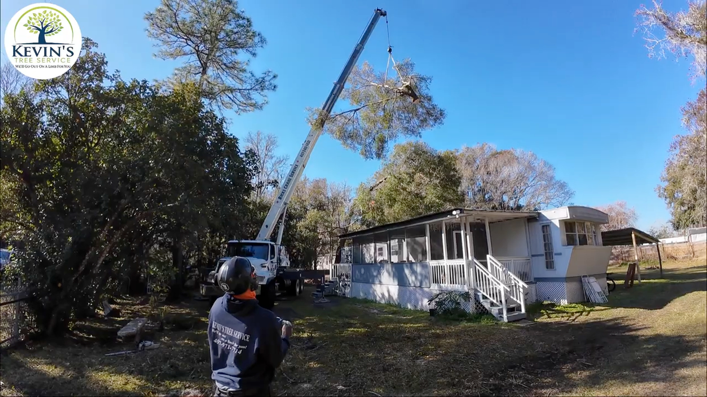 Kevin's Tree Service - Oviedo, FL