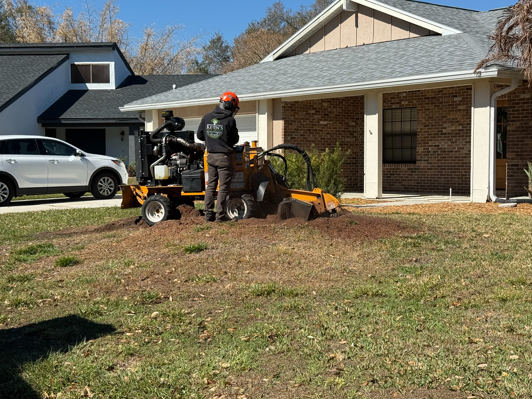Kevin's Tree Service - Oviedo, FL