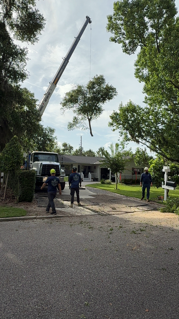 Kevin's Tree Service - Oviedo, FL