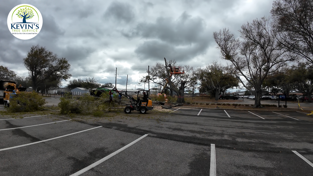 Kevin's Tree Service - Oviedo, FL