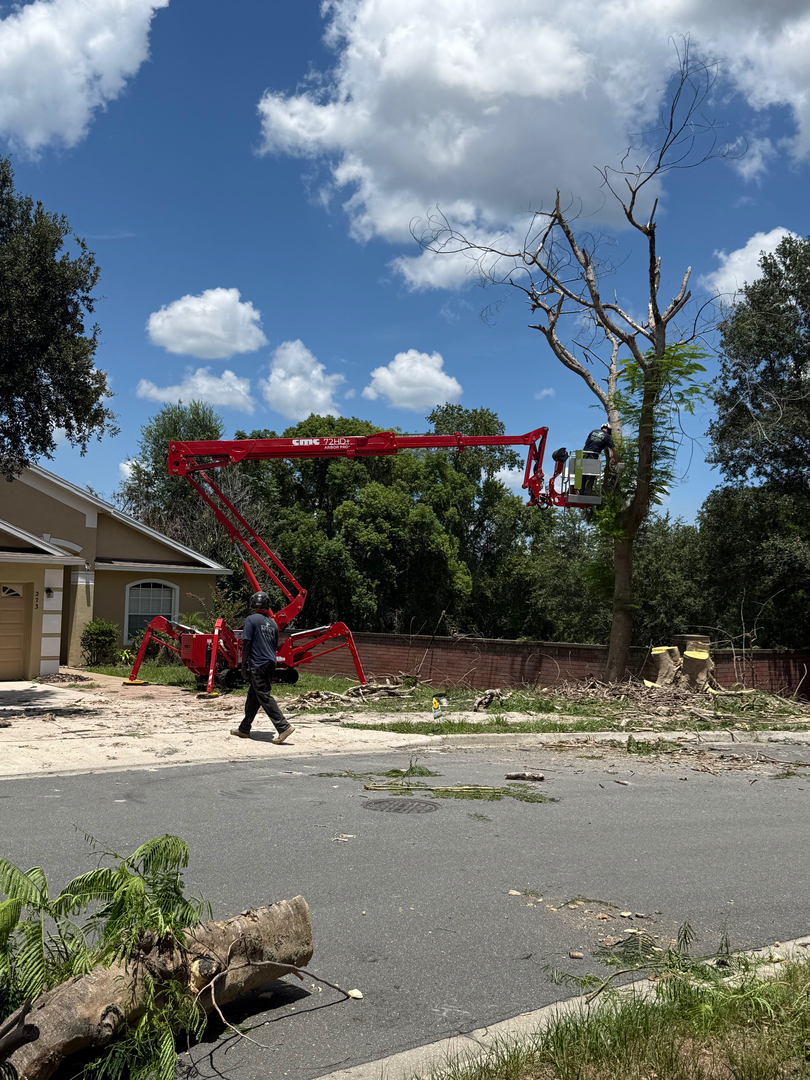 Kevin's Tree Service - Oviedo, FL