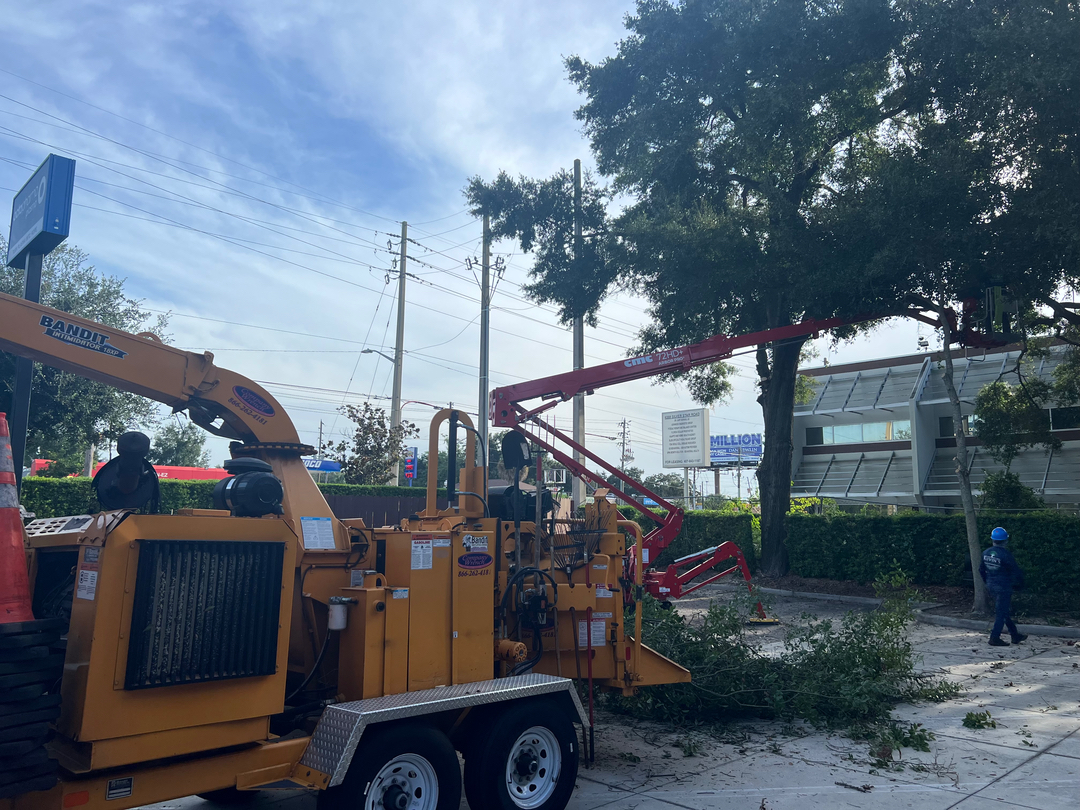 Kevin's Tree Service - Oviedo, FL