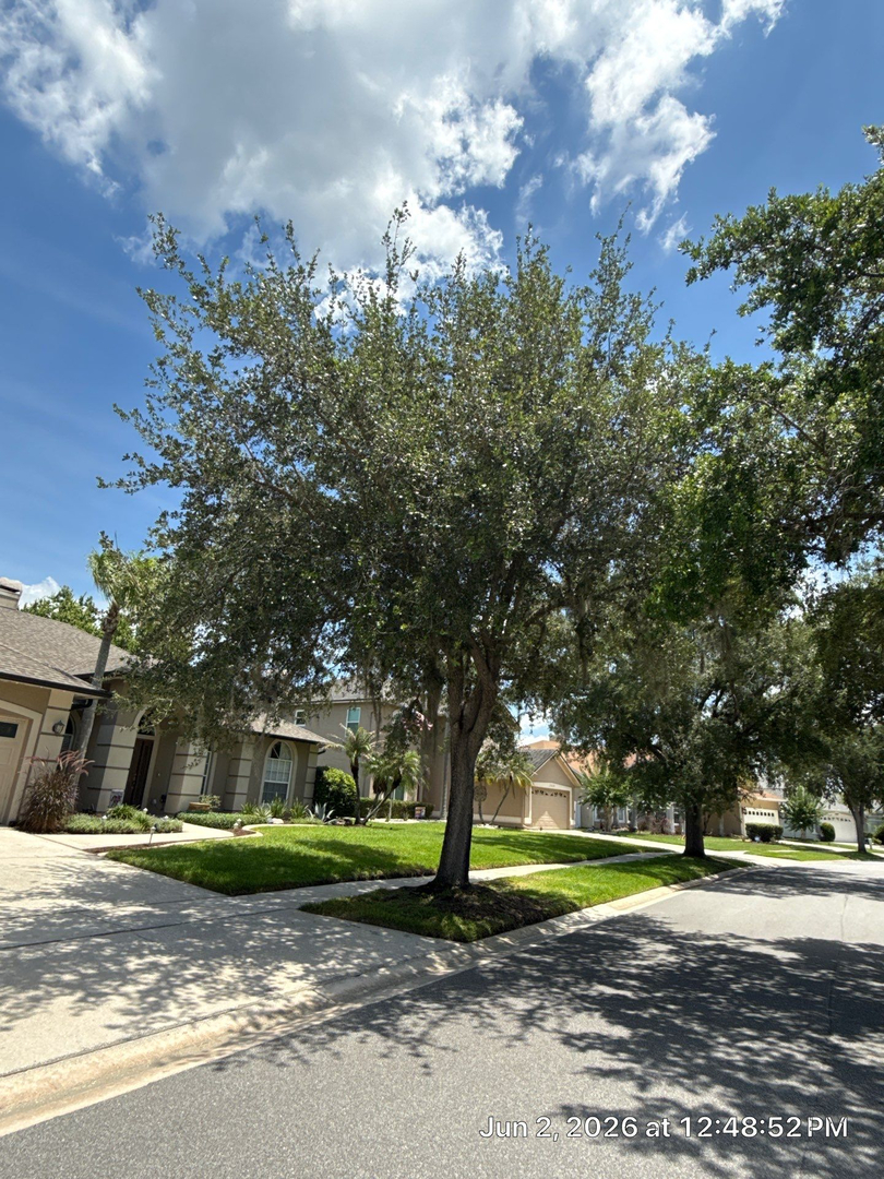 Kevin's Tree Service - Oviedo, FL
