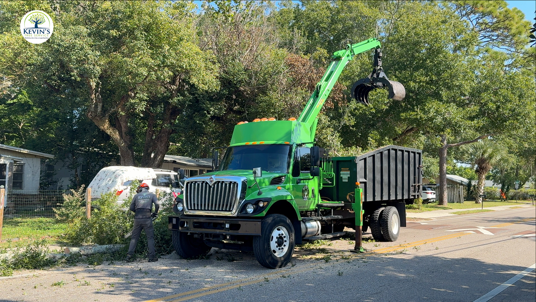 Kevin's Tree Service - Oviedo, FL