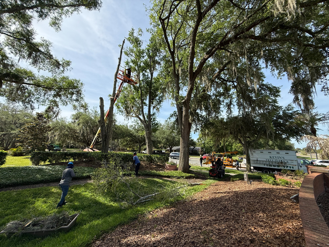 Kevin's Tree Service - Oviedo, FL
