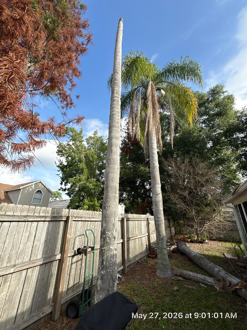 Kevin's Tree Service - Oviedo, FL