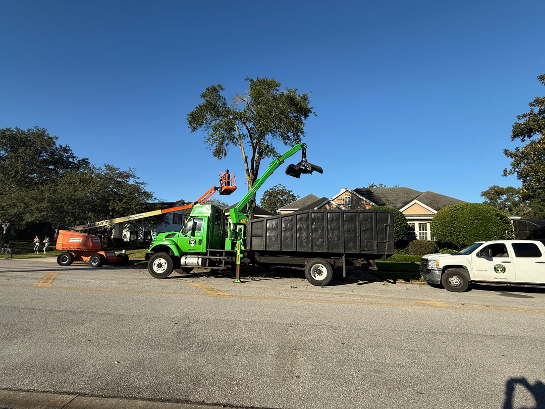 Kevin's Tree Service - Oviedo, FL