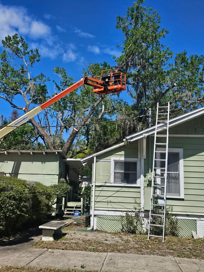 Kevin's Tree Service - Oviedo, FL