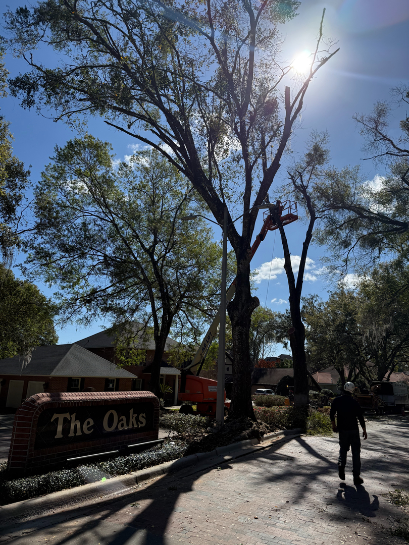 Kevin's Tree Service - Oviedo, FL