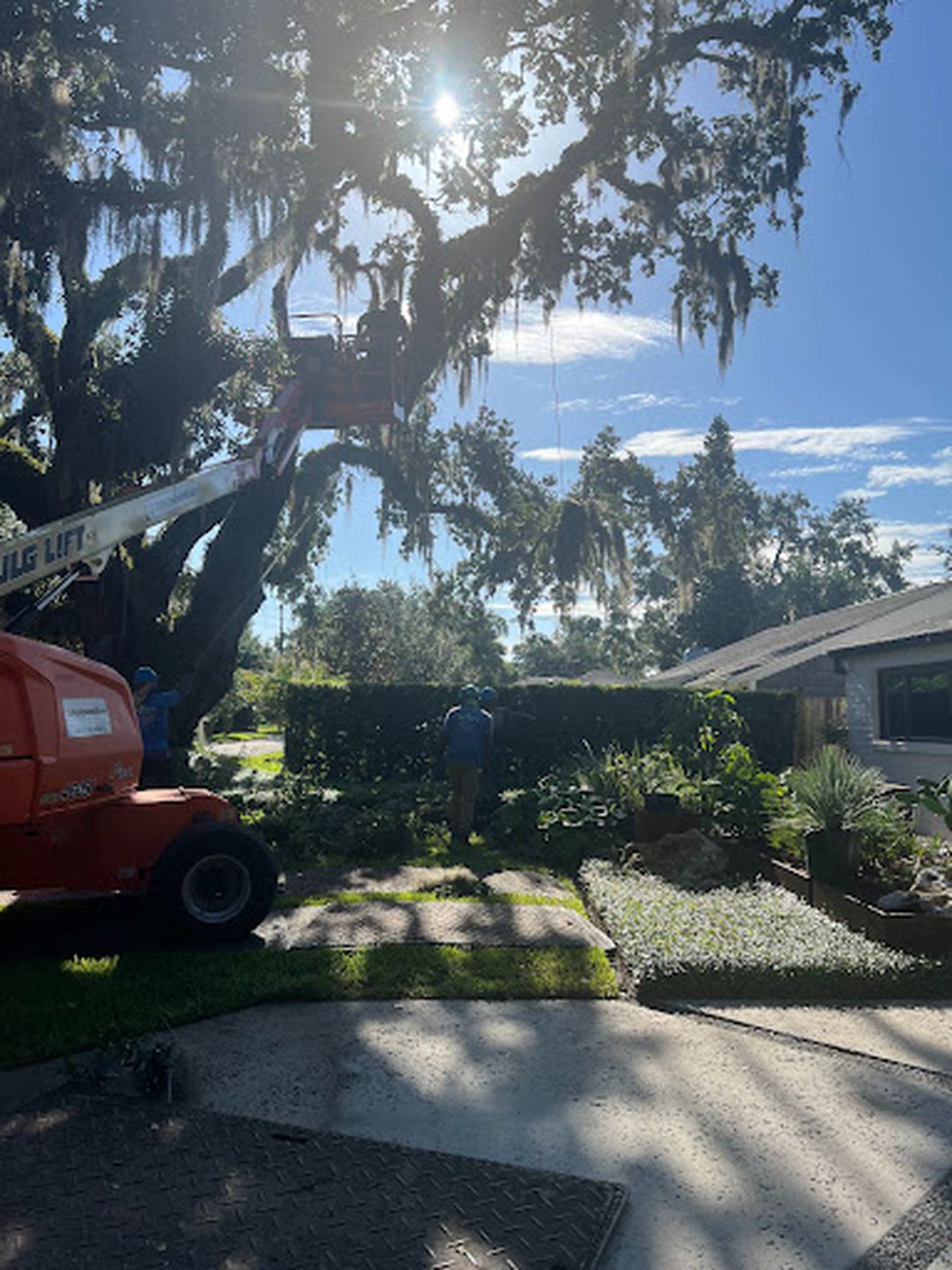 Kevin's Tree Service - Oviedo, FL