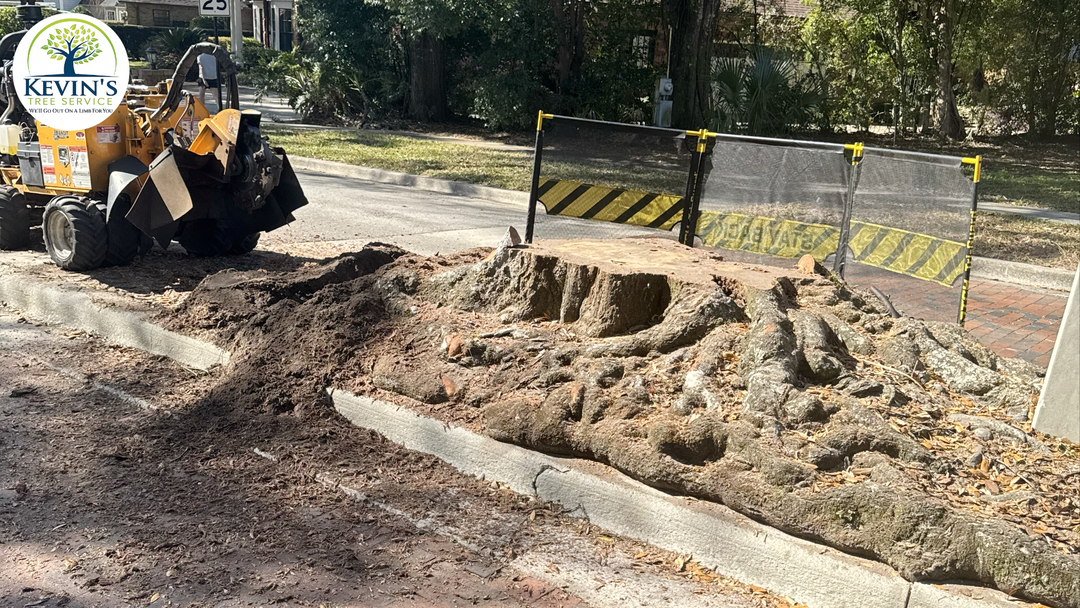 Kevin's Tree Service - Oviedo, FL