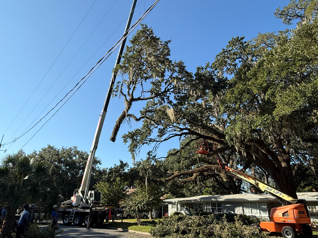 Kevin's Tree Service - Oviedo, FL