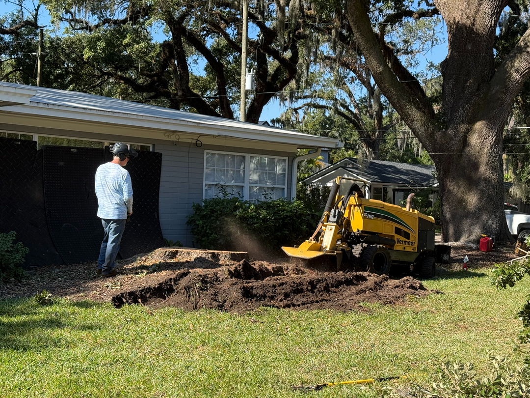 Kevin's Tree Service - Oviedo, FL