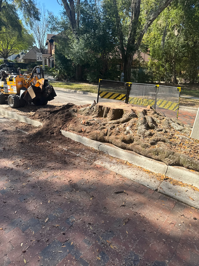 Kevin's Tree Service - Oviedo, FL