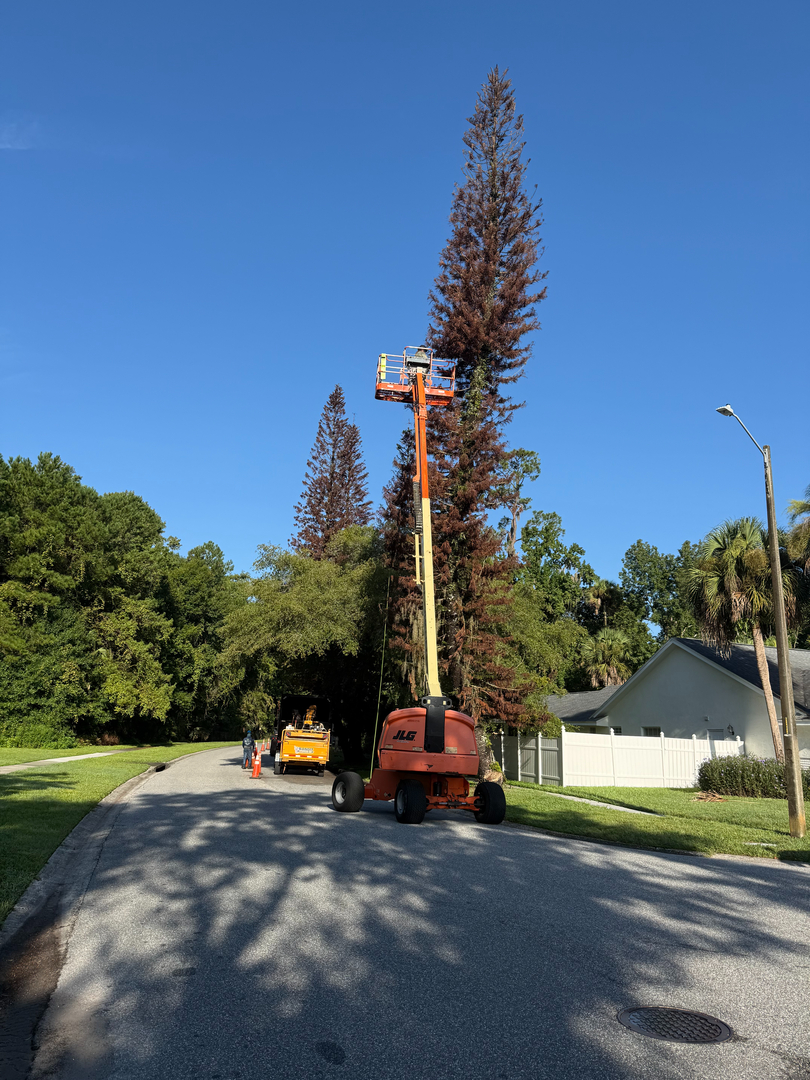 Kevin's Tree Service - Oviedo, FL