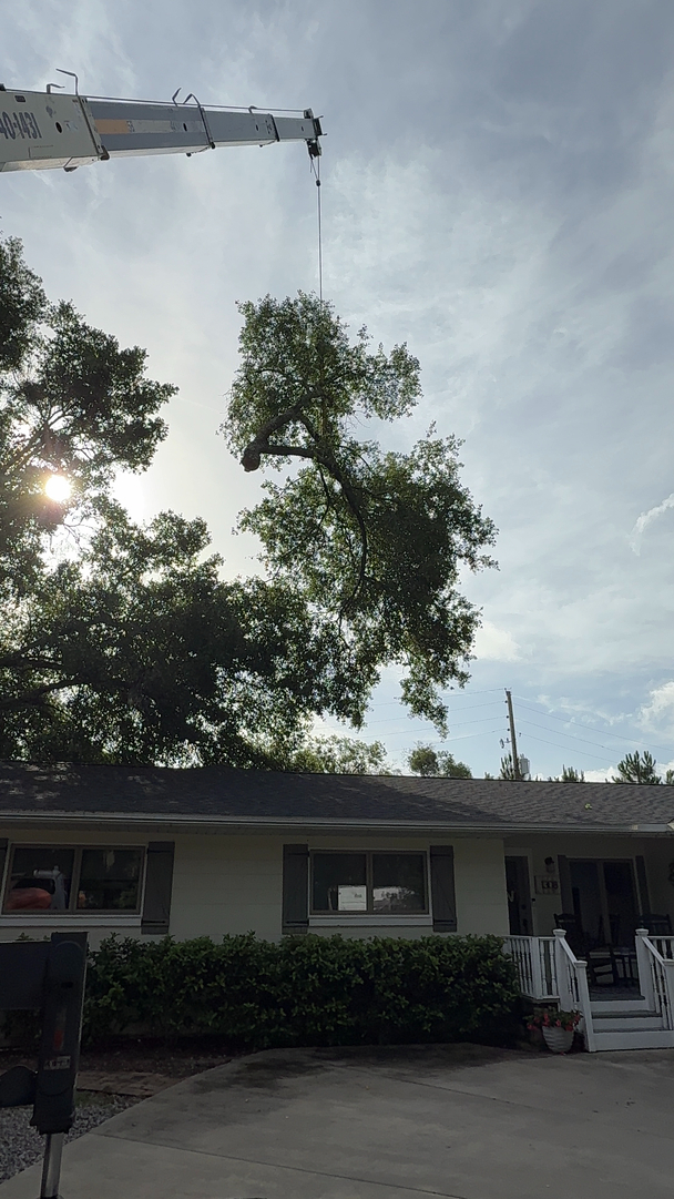 Kevin's Tree Service - Oviedo, FL
