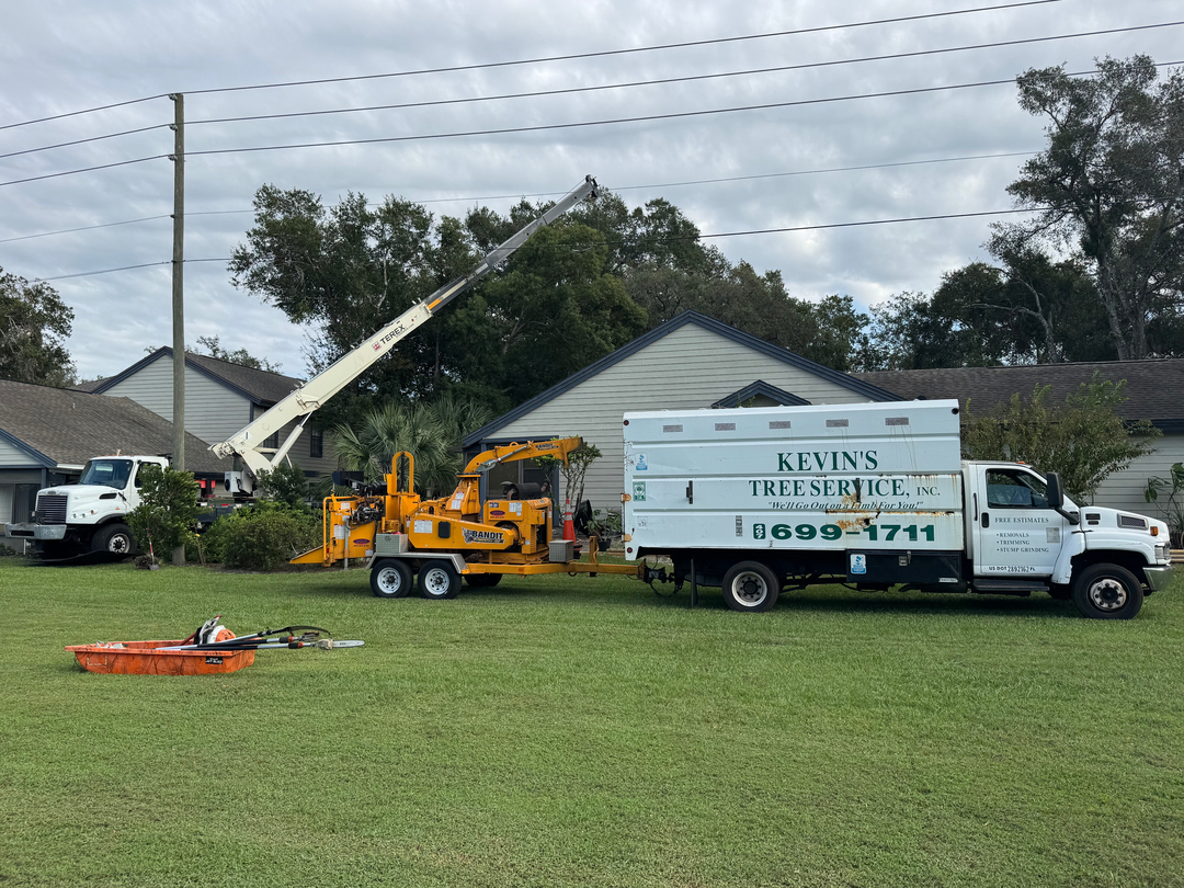Kevin's Tree Service - Oviedo, FL