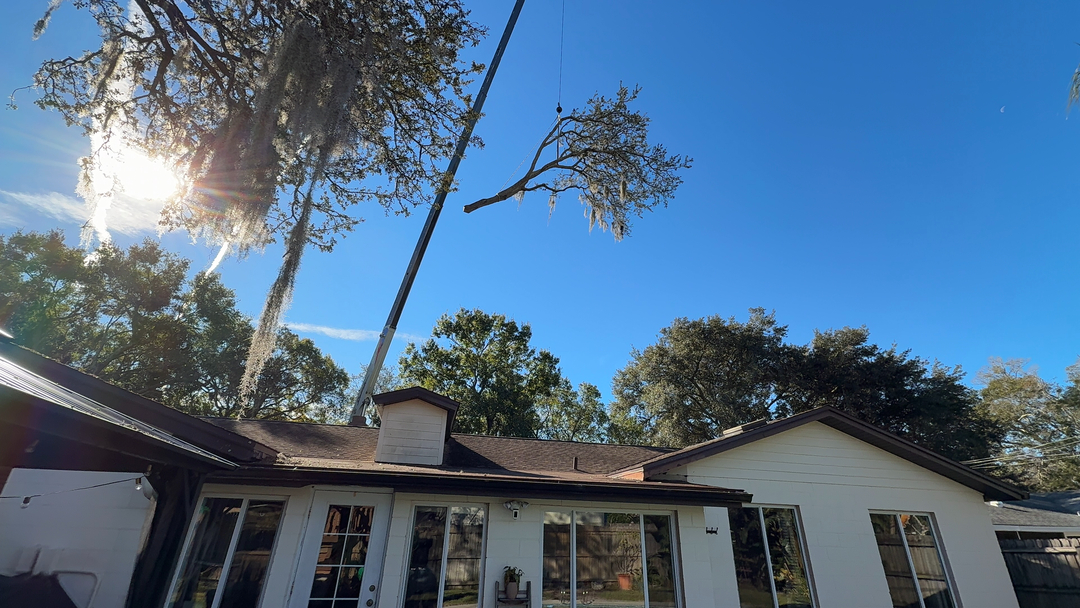 Kevin's Tree Service - Oviedo, FL