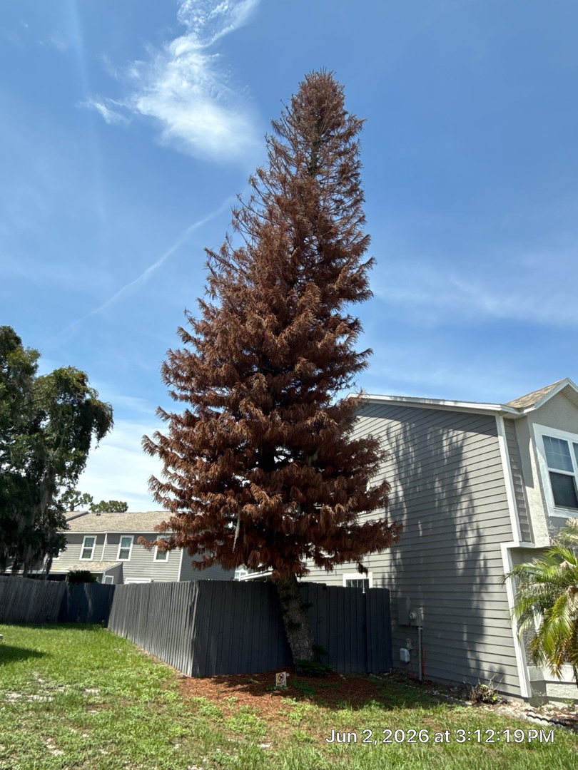 Kevin's Tree Service - Oviedo, FL