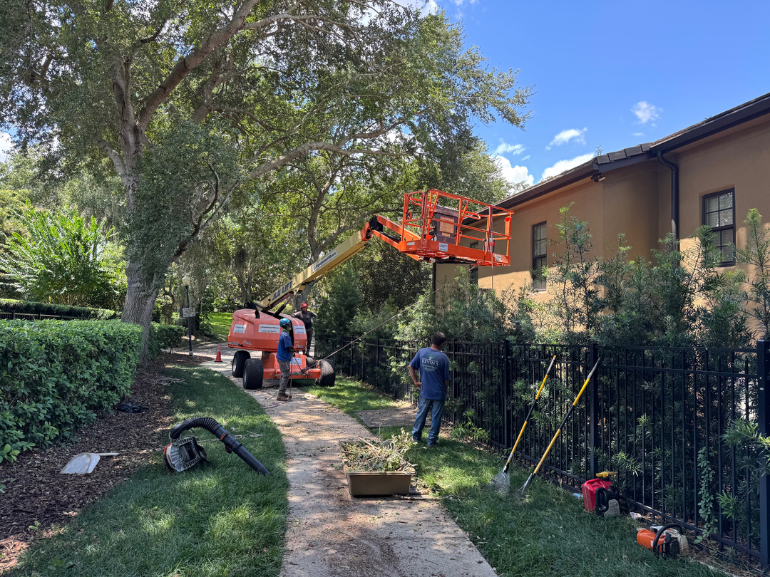 Kevin's Tree Service - Oviedo, FL