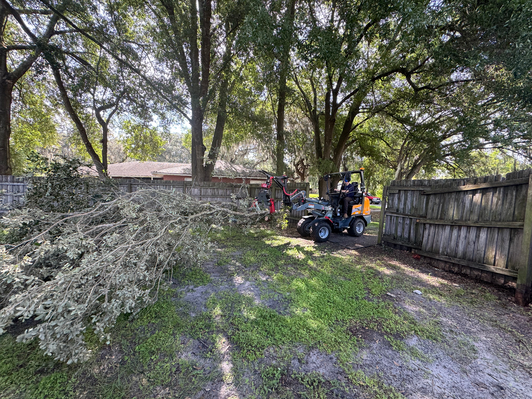 Kevin's Tree Service - Oviedo, FL
