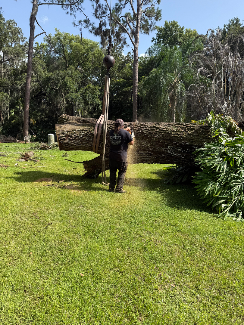 Kevin's Tree Service - Oviedo, FL