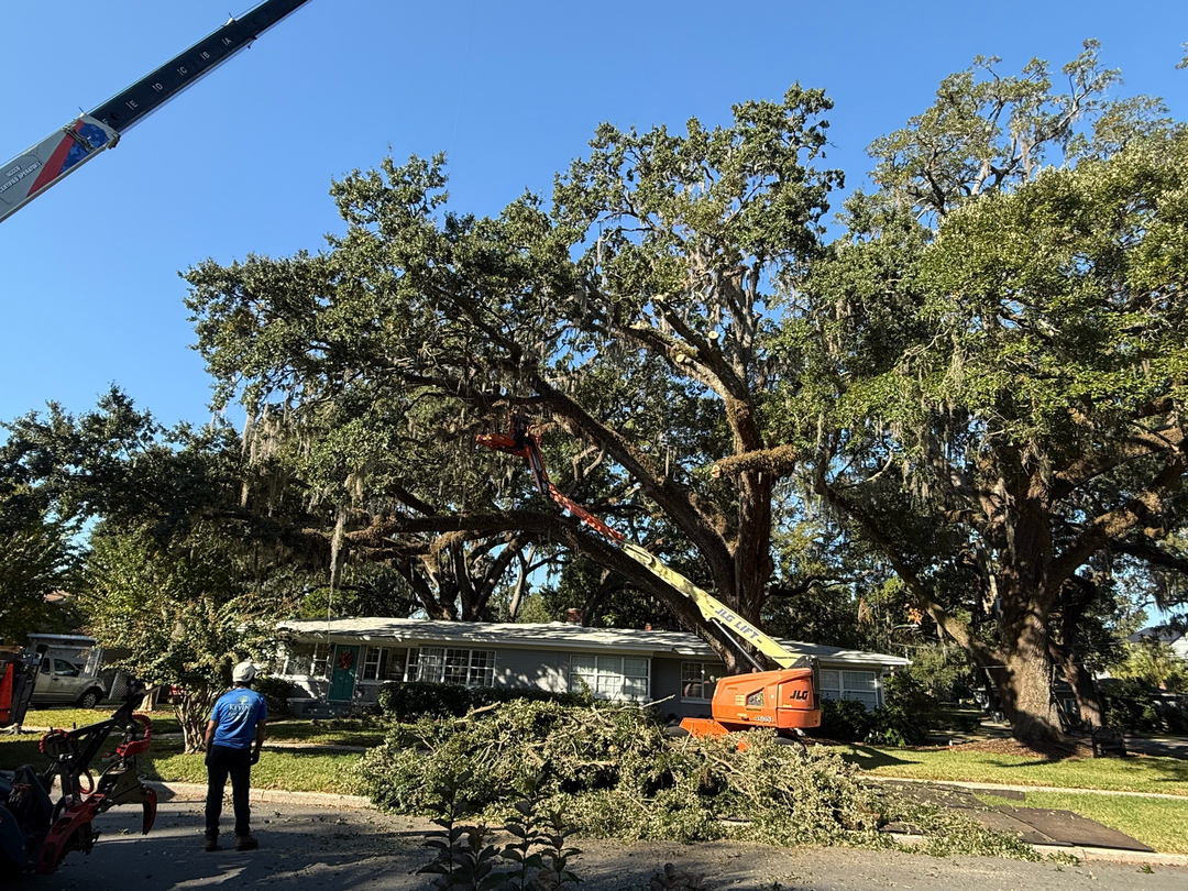 Kevin's Tree Service - Oviedo, FL