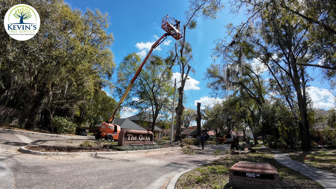 Kevin's Tree Service - Oviedo, FL