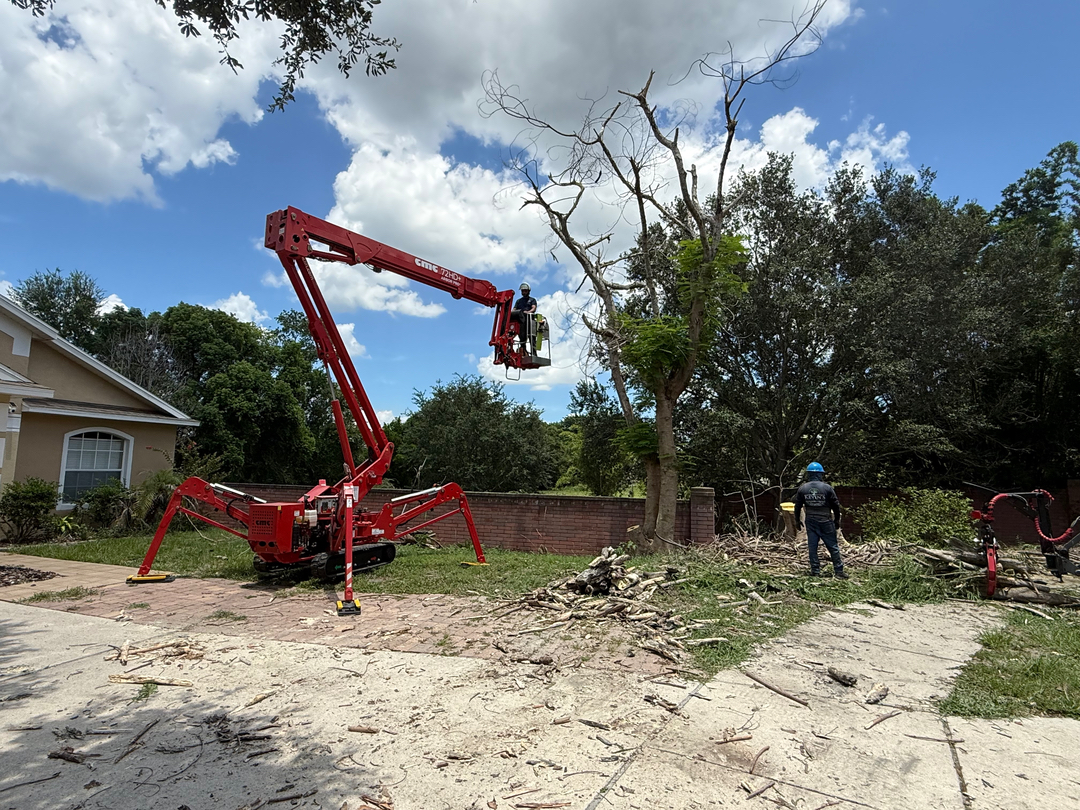 Kevin's Tree Service - Oviedo, FL