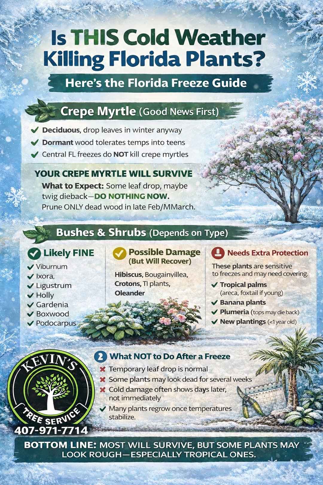 Kevin's Tree Service - Oviedo, FL