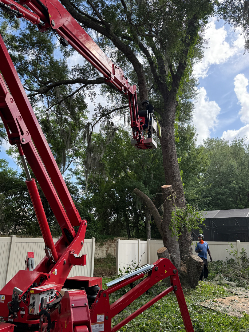Kevin's Tree Service - Oviedo, FL