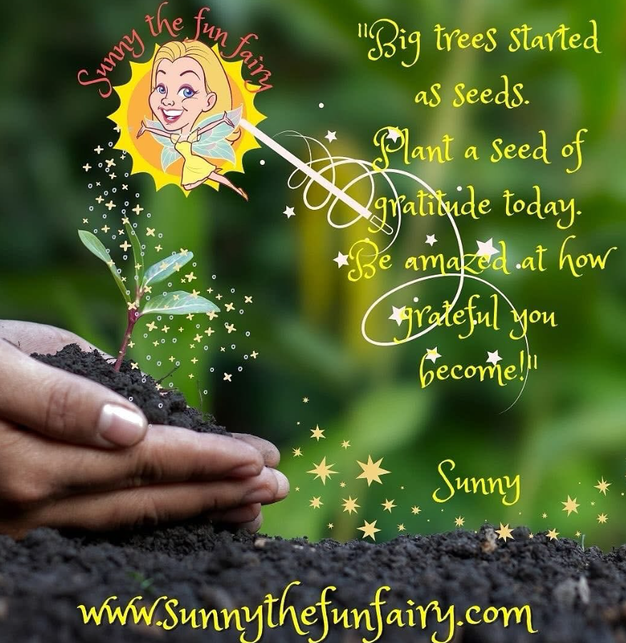 Sunny the Fun Fairy Image