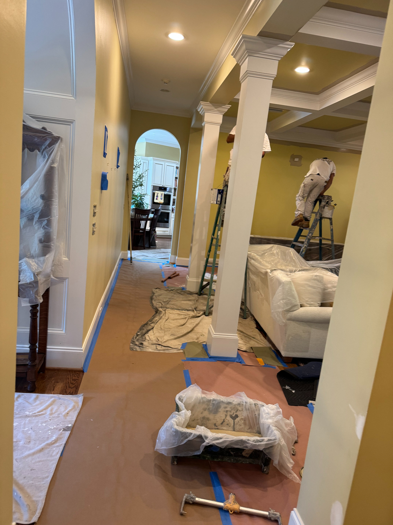 Aleruiz Painting Image