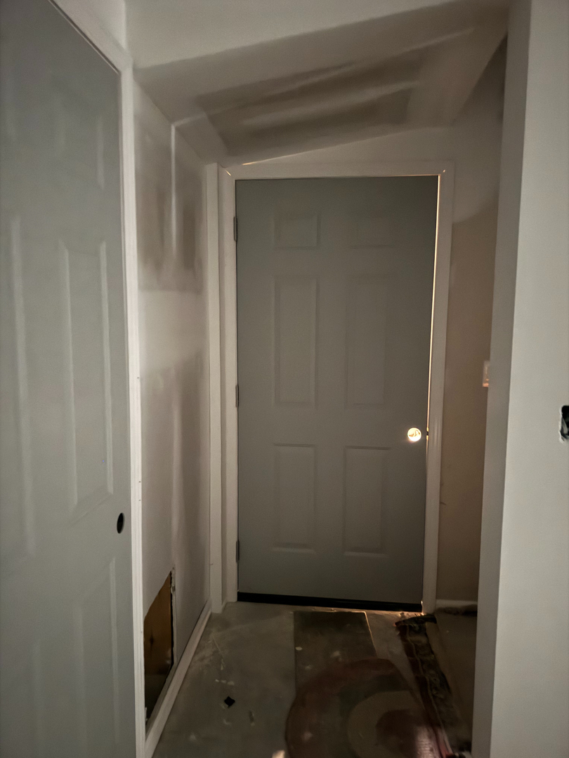 Aleruiz Painting Image