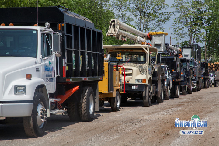 ArborTech Tree Services, LLC Image