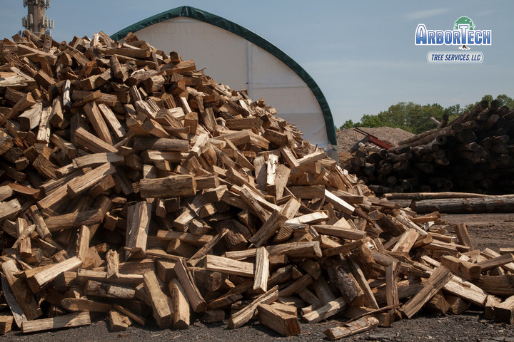 ArborTech Tree Services, LLC Image