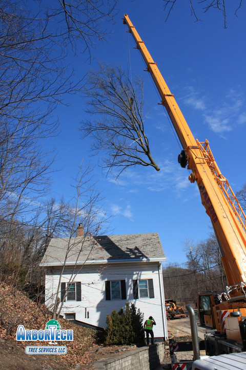 ArborTech Tree Services, LLC Image